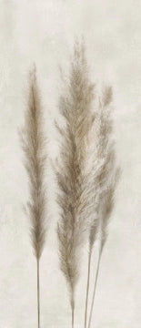 Ceramiche Caesar, Deco Solutions - AGUH - Pampa A, Matt, 120x278cm, 6.00mm, Rett.