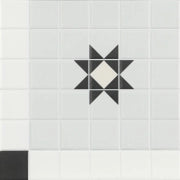 Dune Ceramica, Mintons - 188700 - Buckingham, Matt, 20x20cm, 9.00mm