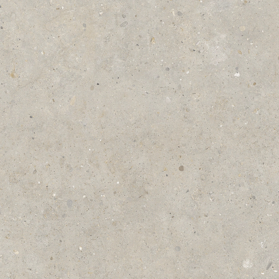 Pastorelli Ceramiche, Biophilic - P009498J - Bi Greige, Naturale, 60x60cm, 8.50mm, Rett.