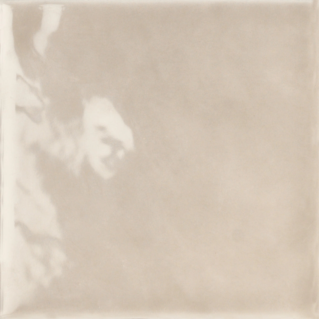 Tonalite, Fluid - FLU12NO - Nocciola, Lucida, 12.4x12.4cm, 8.00mm, Rett.