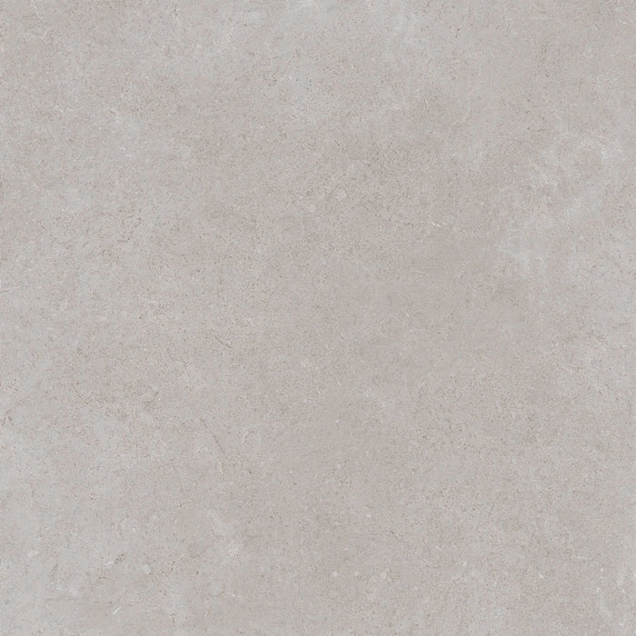 Ragno, Creek - R4EE - Grigio, Matt, 60x60cm, 9.50mm, Rett.