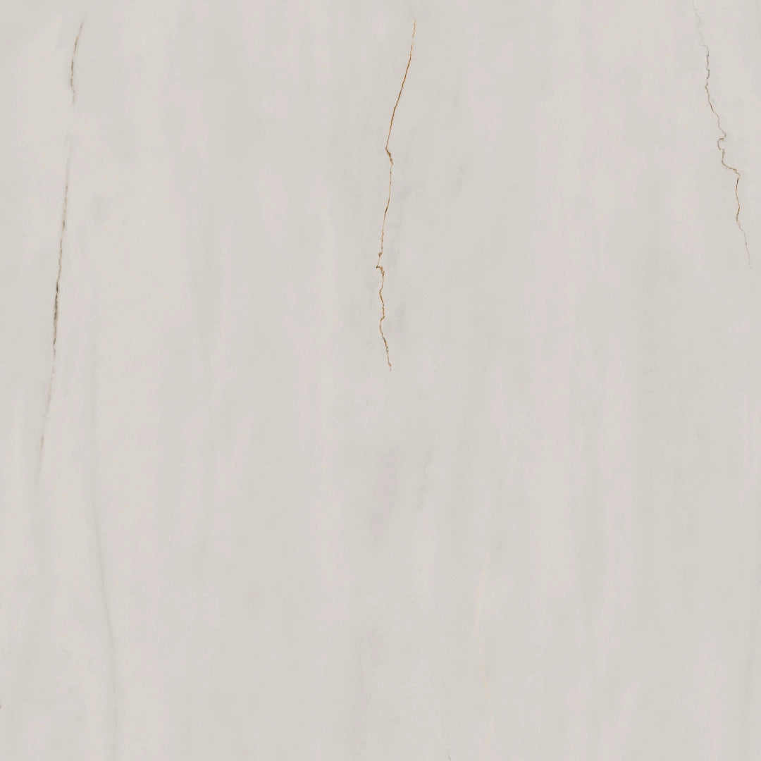PorcelaniteDos, Notre Dame - 1814 - White, Polished, 98x98cm, 10.00mm, Rett.
