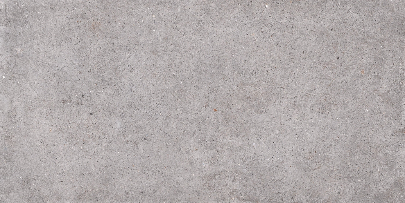 Sichenia, Ar_gent - 184441 - Ash, Matt, 60x120cm, 10.00mm, Rett.