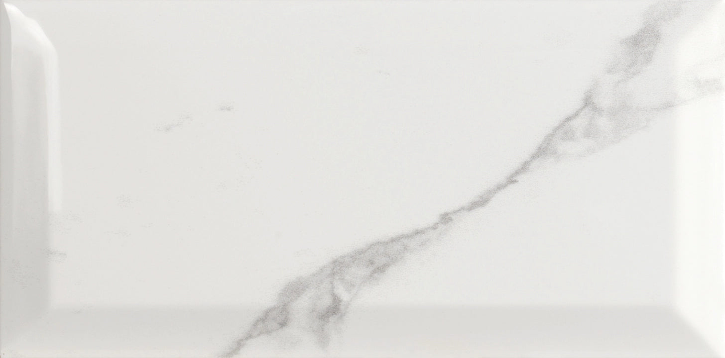 Moda Ceramica, Phormae - Carrara, Lucido, 10x20cm, 7.00mm