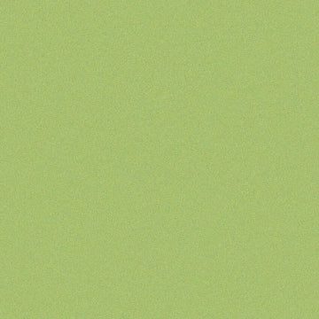 Casalgrande Padana, Architecture - Acid Green, Naturale, 60x60cm, 9.40mm, Rett.