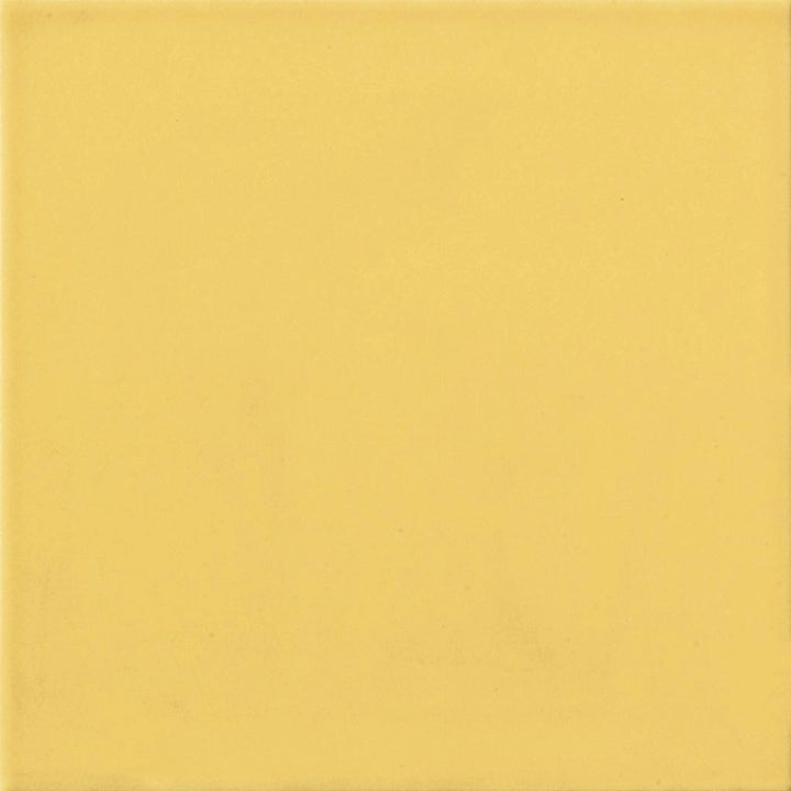 La Fenice Ceramiche, Cromie - Mostarda, Matt, 20x20cm, 10.00mm