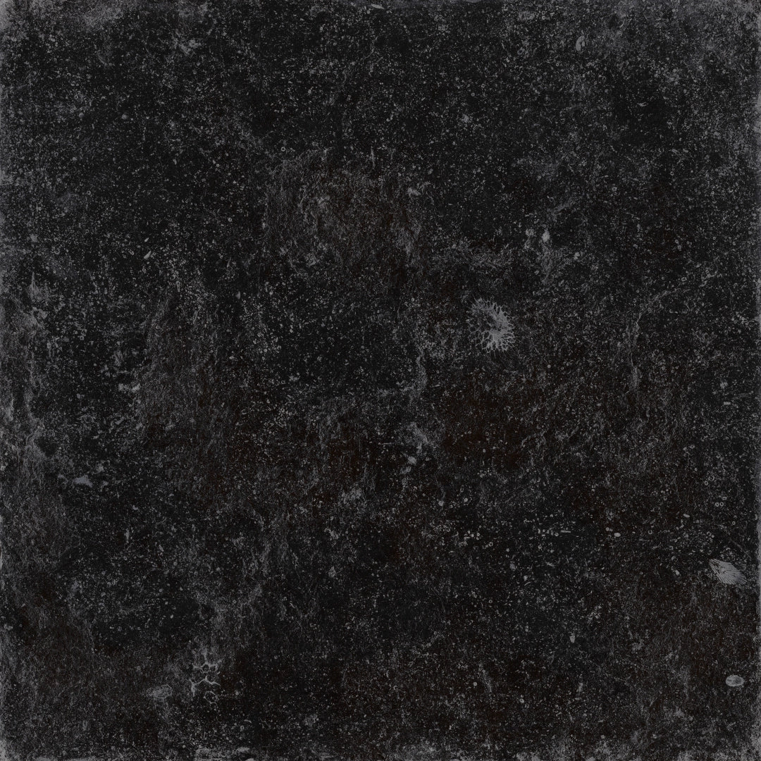 Cerdomus, Nordenn - 77343 - Nero, Satinato, 60x60cm, 9.50mm, Rett.