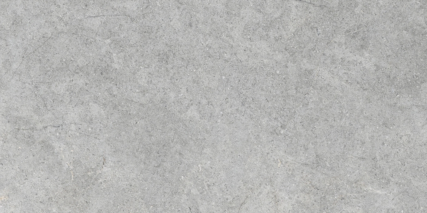 Ragno, Richmond - RAFW - Silver, Matt, 60x120cm, 8.50mm, Rett.