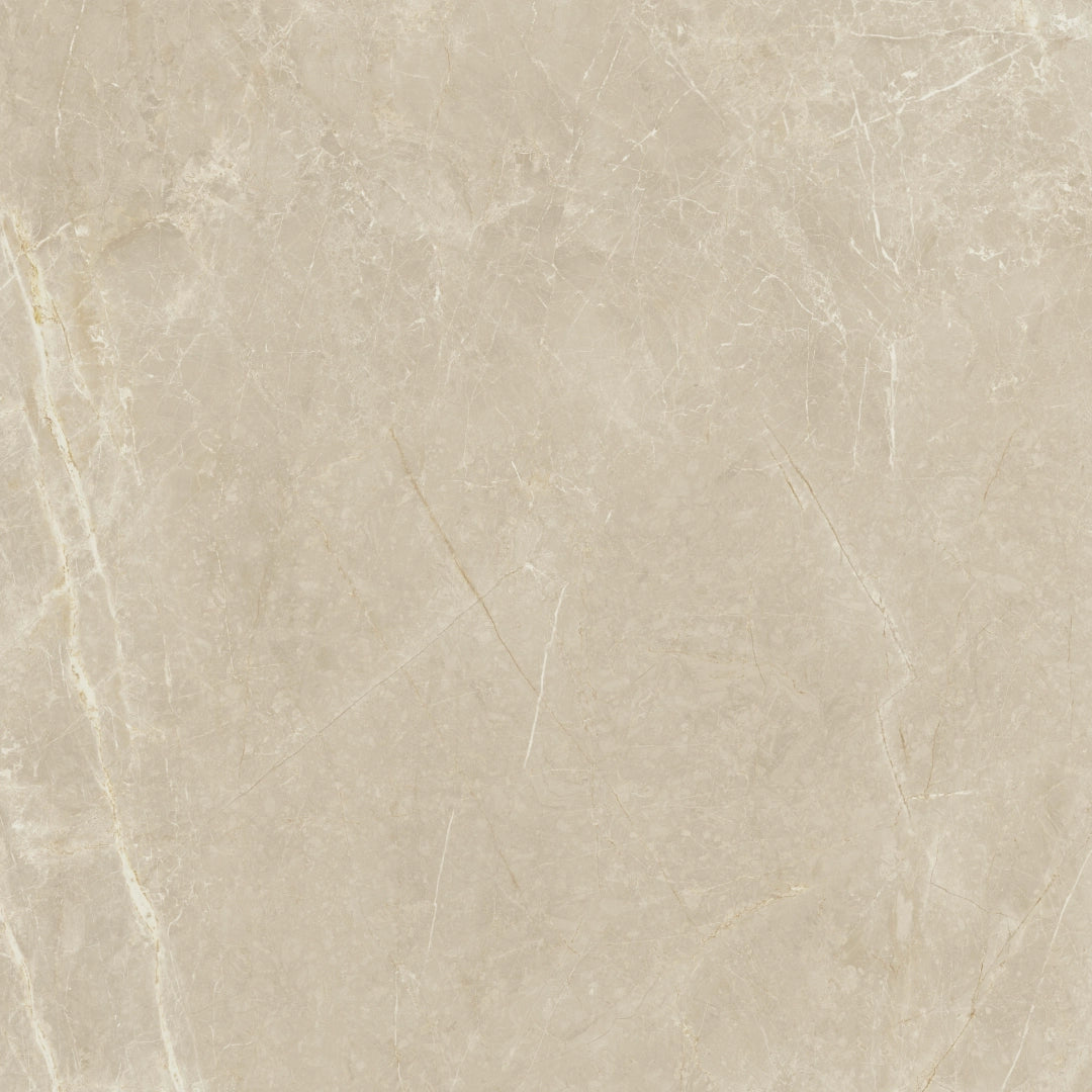Stn Ceramica, Syrah - Ivory, Polished, 120x120cm, 10.00mm, Rett.