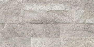 Evoluzioni Ceramiche, Ardesia - Silver, Naturale, 31x62cm, 9.00mm, Rett.