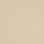 Leonardo Ceramica, Icon - ALMOND 120 - Almond, Matt, 120x120cm, 10.50mm, Rett.