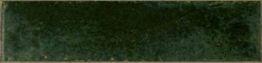 Ragno, Look - R8FS - Oliva, Glossy, 6x24cm, 10.00mm