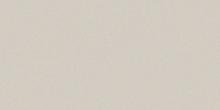Casalgrande Padana, Architecture - Warm Grey, Naturale, 30x60cm, 9.40mm, Rett.