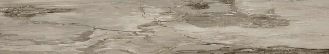 Ceramiche Mariner, Petrified Wood - PEW20120NAL - Natural, Levigato, 20x120cm, 9.50mm, Rett.