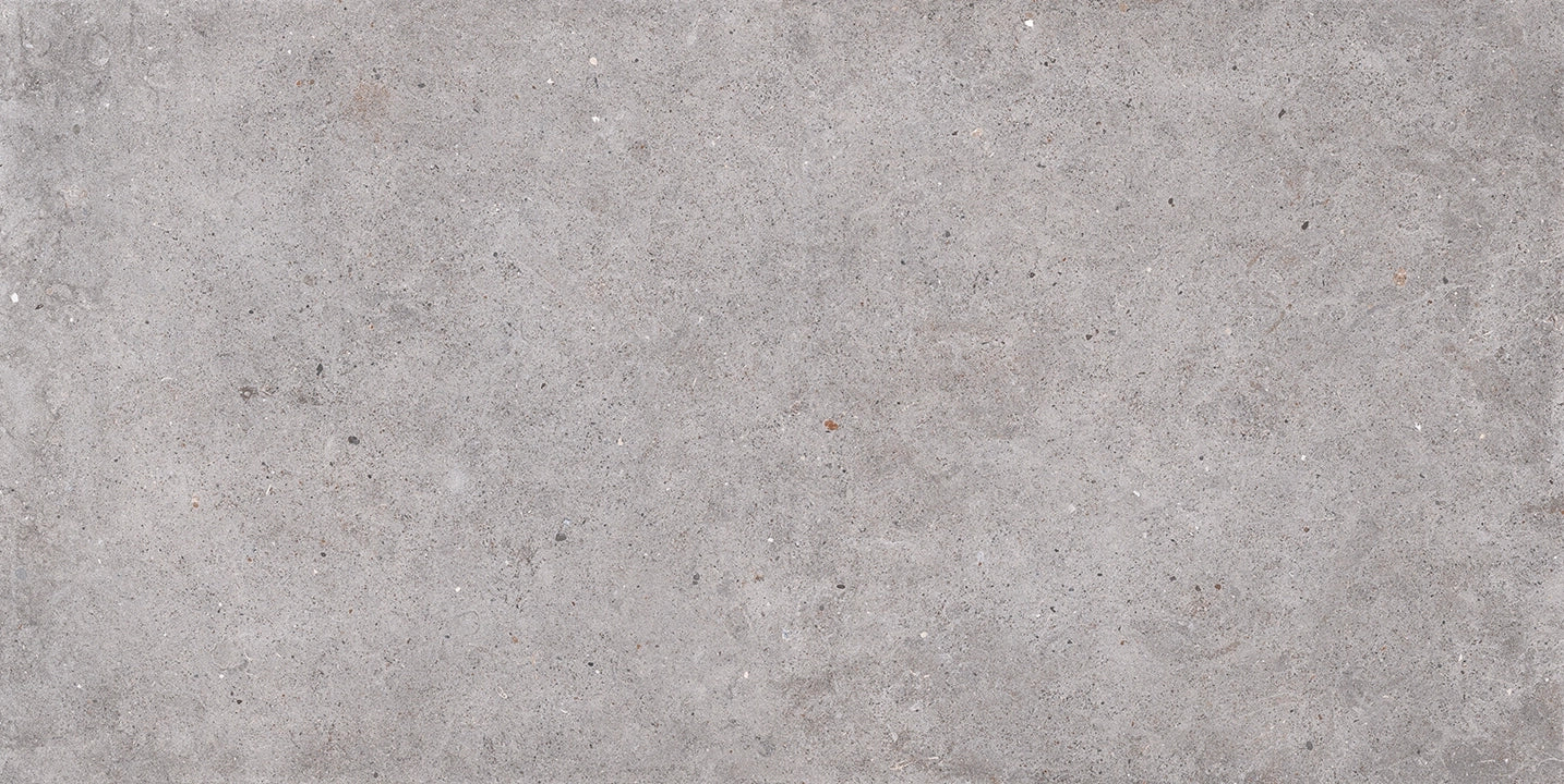 Sichenia, Ar_gent - 184701 - Ash, Matt, 30x60cm, 10.00mm, Rett.