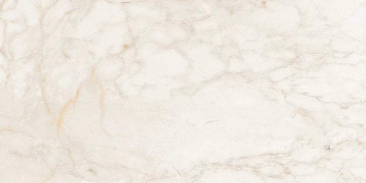 Margres, Endless - Breccia Capraia, Polished, 50x100cm, 5.50mm, Rett.
