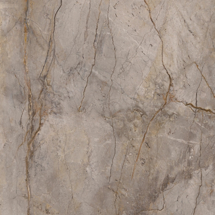 Apavisa, Wild Forest - Grey, Polished, 60x60cm, 7.00mm, Rett.
