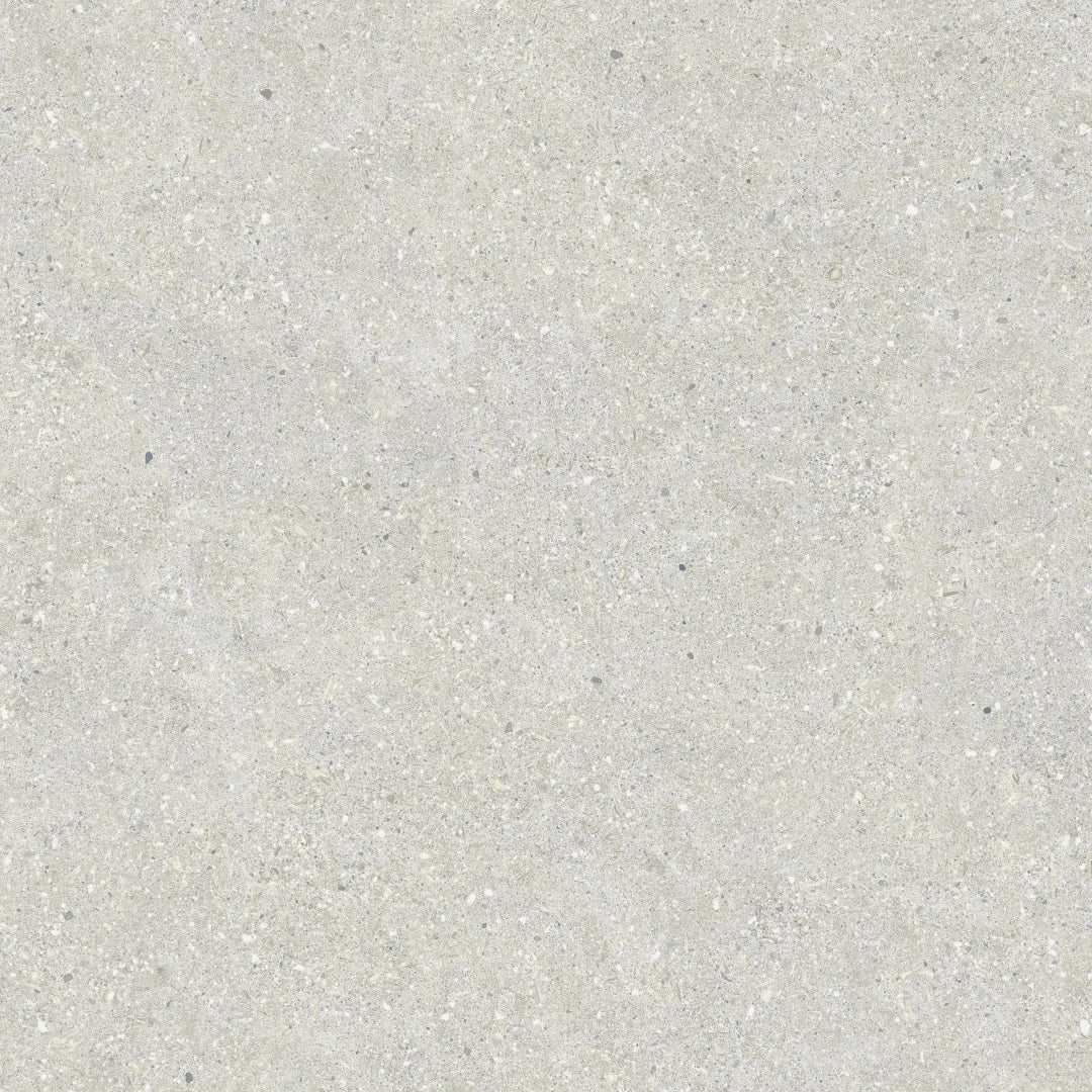 Baldocer, Brunswich - PR6060L - Ceniza, naturale, 60x60cm, 10.00mm, Rett.