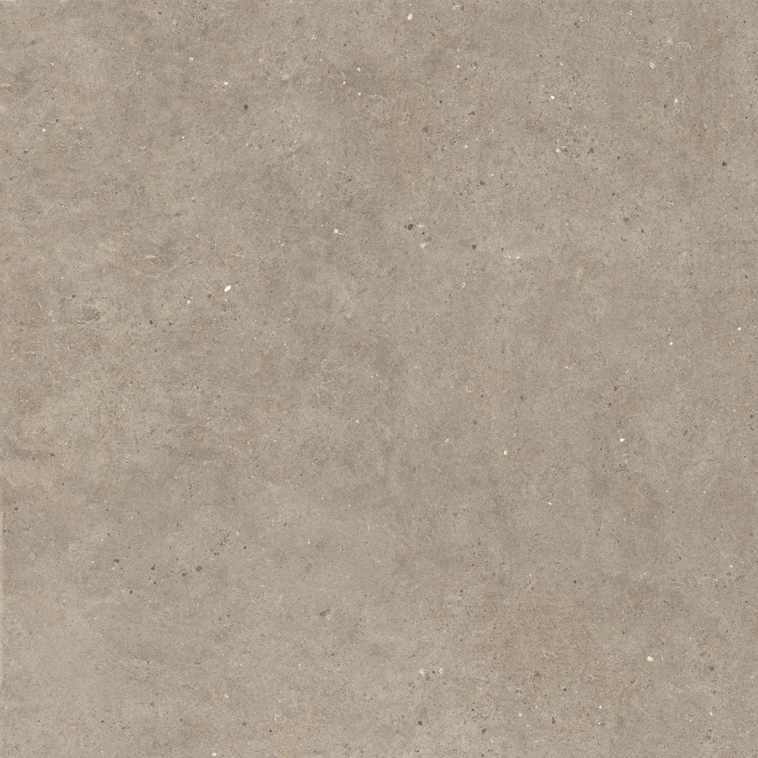 Italgraniti, Silver Grain + Ceppo Di Gré - SI0412 - Silver Grain Taupe, Naturale, 120x120cm, 9.00mm, Rett.