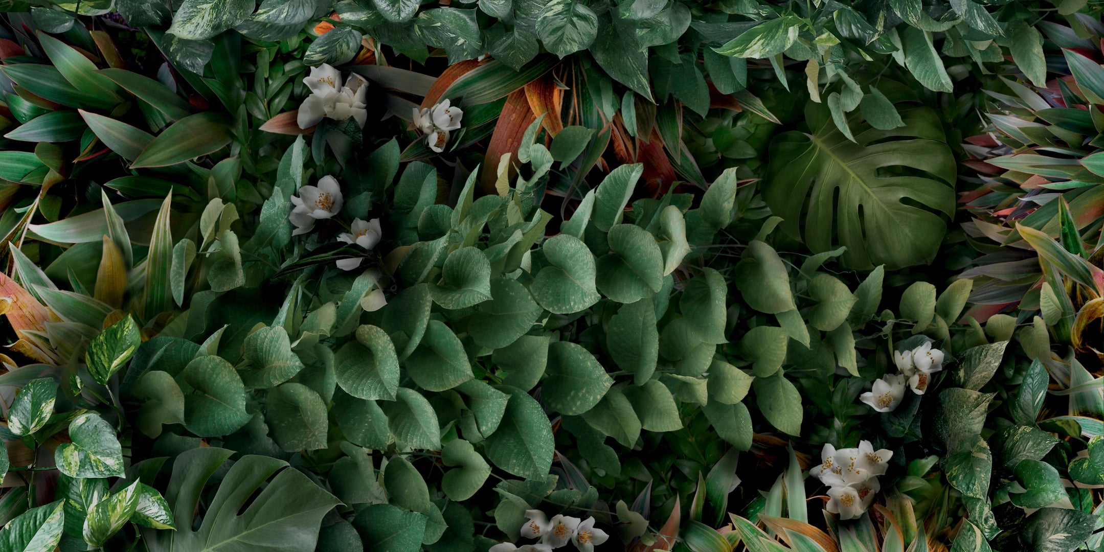 Panaria Ceramica, Glam - PG9GM9C - Greenwall C, Naturale, 50x100cm, 3.50mm, Rett.