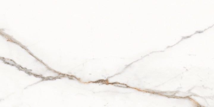 Provenza Ceramiche, Unique Marble - EKSC - Paonazzetto, Silktech, 30x60cm, 9.50mm, Rett.