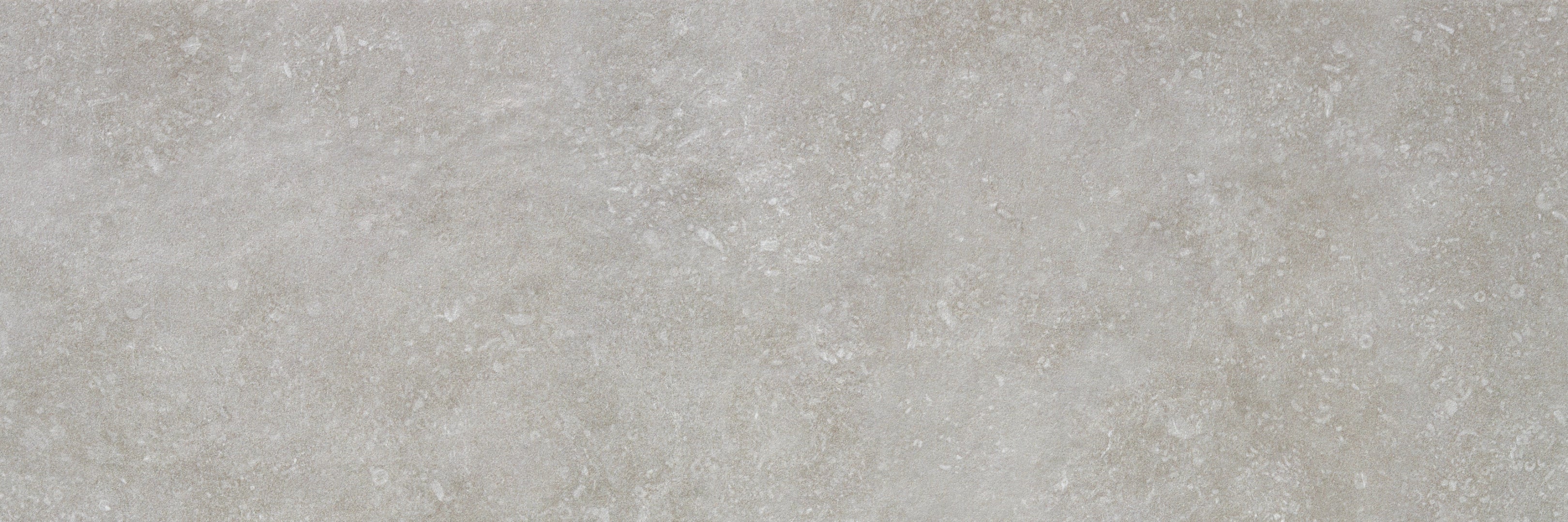 Alaplana Ceramica, Larsen - Grey, Mate, 40x120cm, 10.00mm