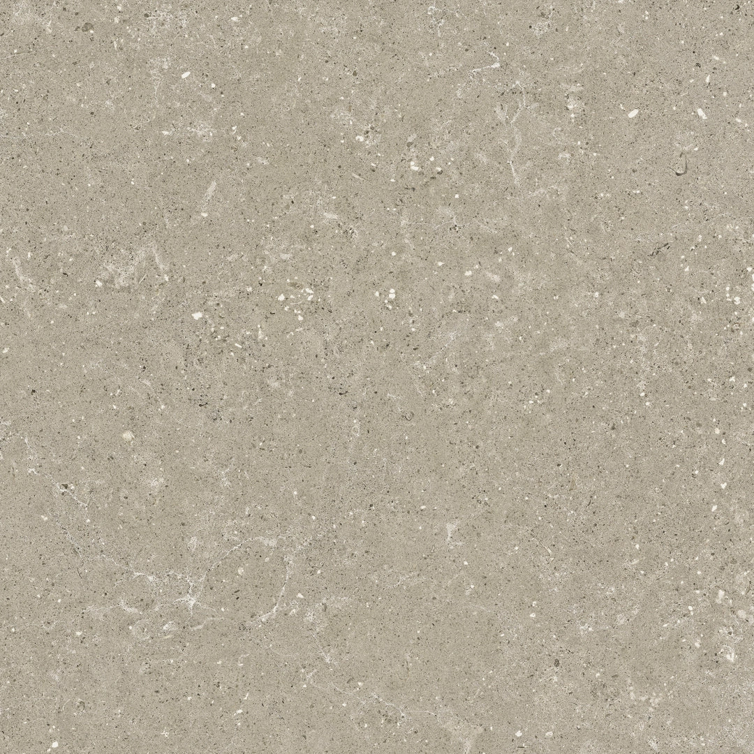 Del Conca, Wild - G9WD11R - Greige, Nat, 60x60cm, 8.50mm, Rett.