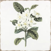 Fabresa, Forli - 18174 - Flowers Decor Mix, Gloss, 15x15cm, 10.00mm