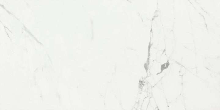 Ceramiche Caesar, Anima - ACCH - Statuario Venato, Matt, 60x120cm, 9.00mm, Rett.