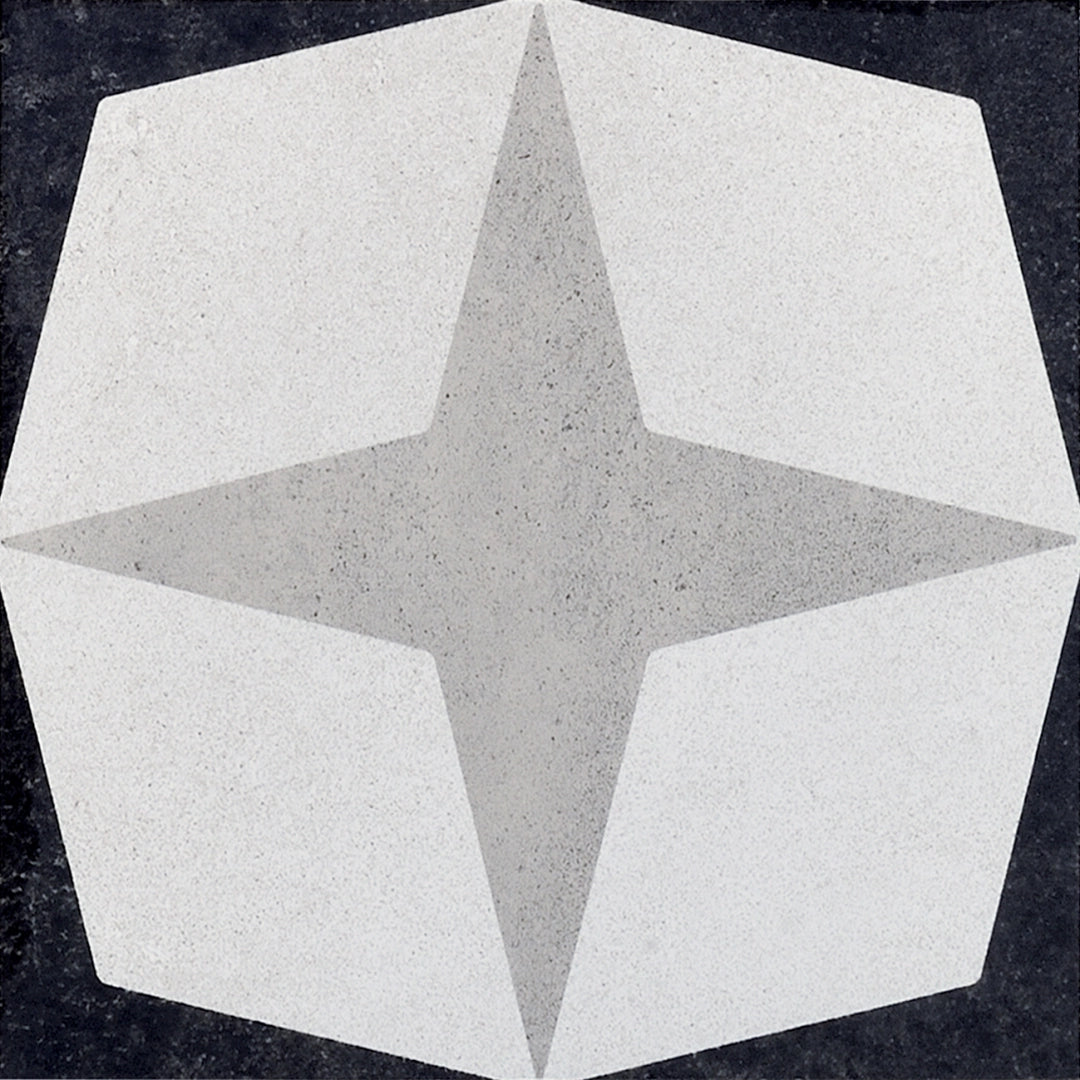 Ceramica Fioranese, Cementine Black&white - CBW20C1 - Black&white_1, Naturale, 20x20cm, 10.00mm, Rett.