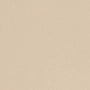 Leonardo Ceramica, Icon - ALMOND 60L - Almond, Glossy, 60x60cm, 10.50mm, Rett.