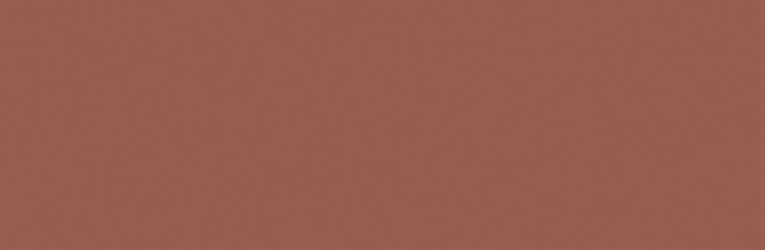 Tau Ceramica, Tornares Hiru - Terracotta, Matt, 16.3x51.7cm, 11.00mm