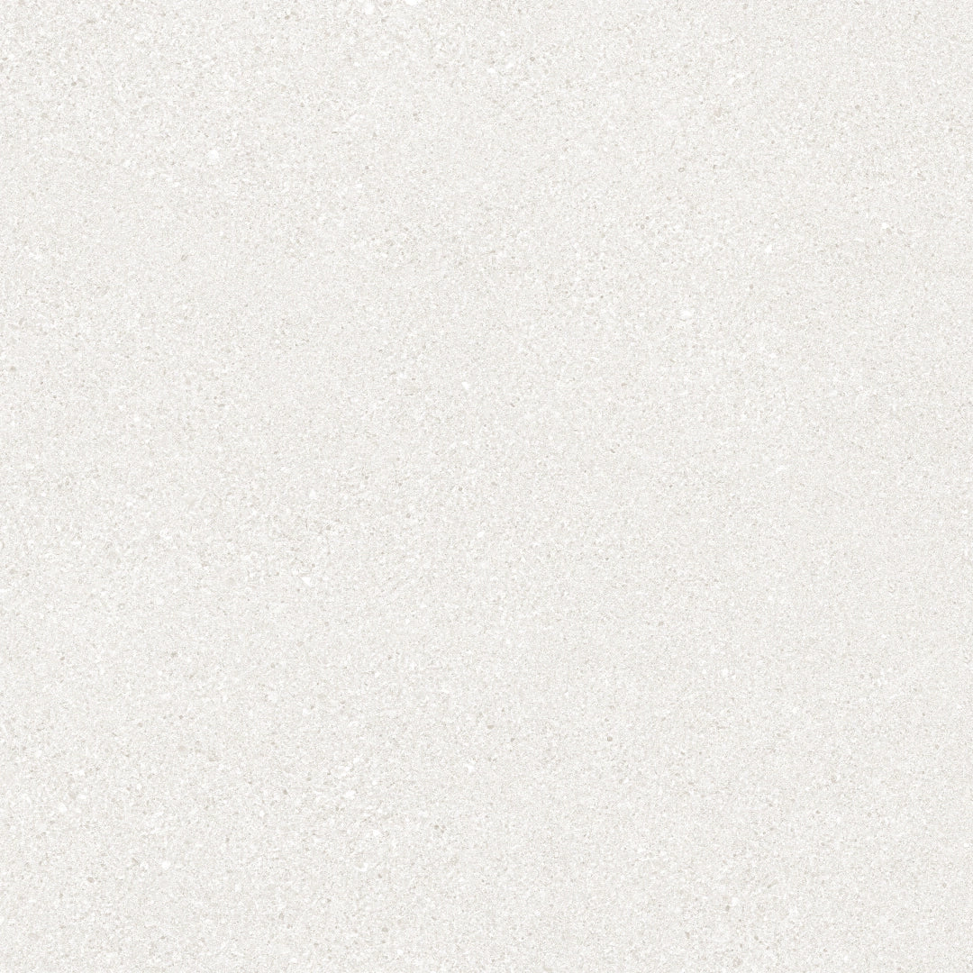Ergon, Grain Stone - E09L---White-Fine-Grain,-Naturale,-60x60cm,-9.50mm,-Rett.