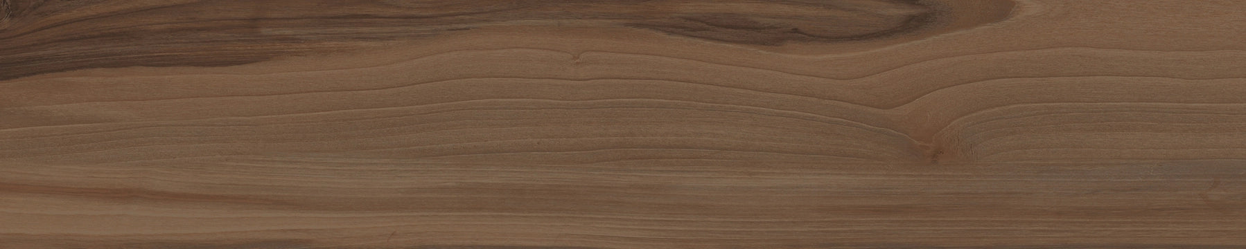 Cerdomus, Savanna - 60950 - Coffee, Matt, 20x100cm, 9.50mm, Rett.