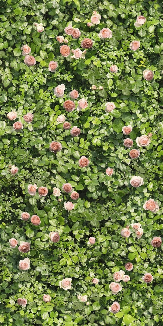 Casalgrande Padana, Limpha - Coral Rose, Naturale, 120x240cm, 6.00mm, Rett.