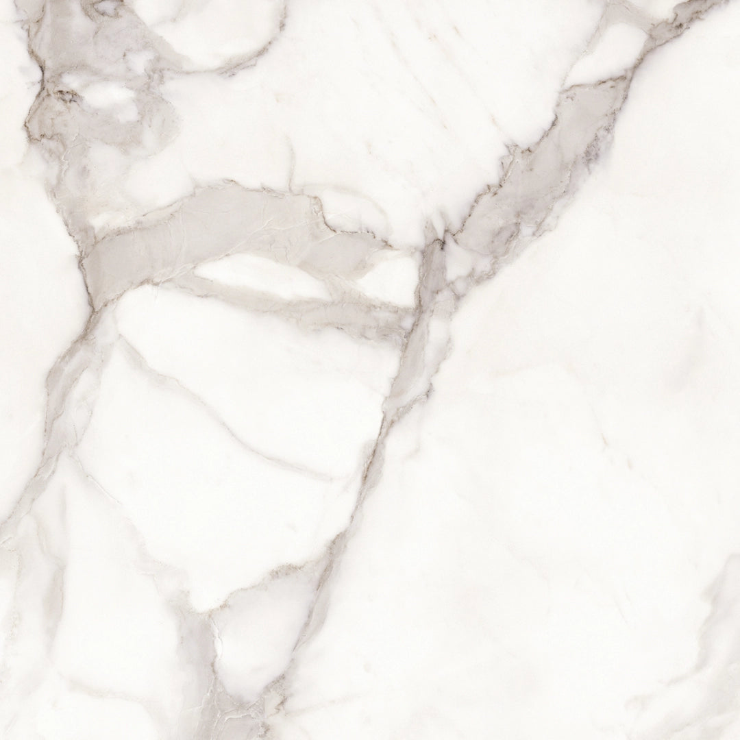 Provenza Ceramiche, Unique Marble - ELDS - Calacatta Regale, Naturale, 120x120cm, 6.50mm, Rett.