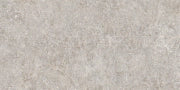 Evoluzioni Ceramiche, Aspen - ER3938 - Grigio, Naturale, 60x120cm, 9.50mm, Rett.