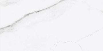 Fanal, Iceberg - Iceberg, Matt, 60x120cm, 10.00mm, Rett.