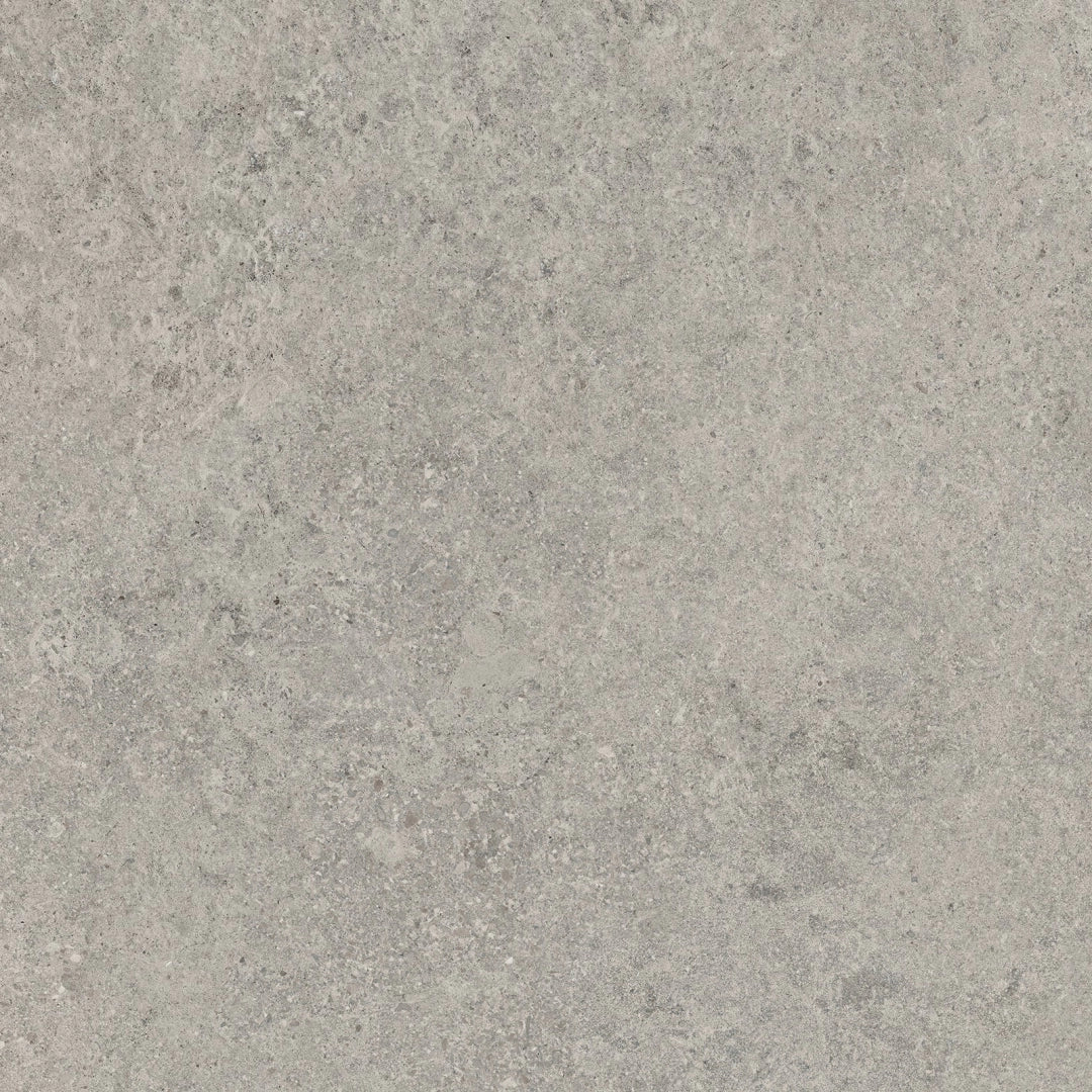 Gardenia Orchidea, Origini - 73704 - Gris Royal, Naturale, 80x80cm, 8.50mm, Rett.