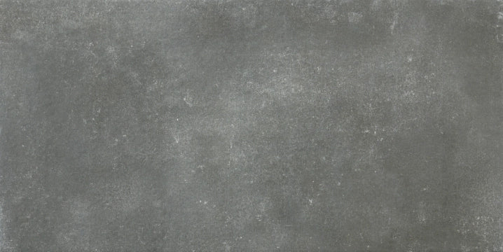 Alaplana Ceramica, Assen - Graphite, Naturale, 30x60cm, 10.00mm