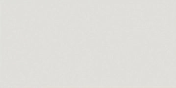Equipe Ceramicas, Evolution - 20898---Gris-Claro,-Lucido,-7.5x15cm,-9.00mm,-Rett.