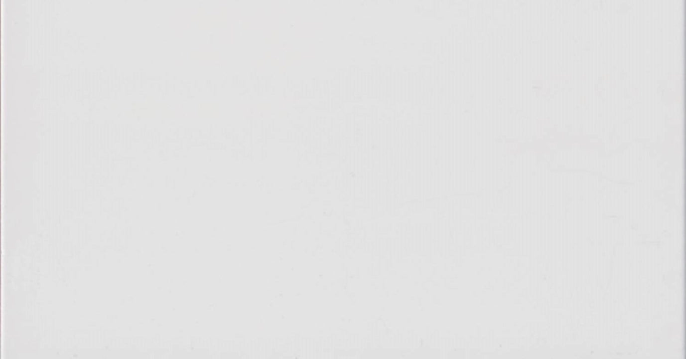 Saloni Ceramica, Sintesis - FKJ500 - Blanco, Matt, 31x60cm, 9.10mm