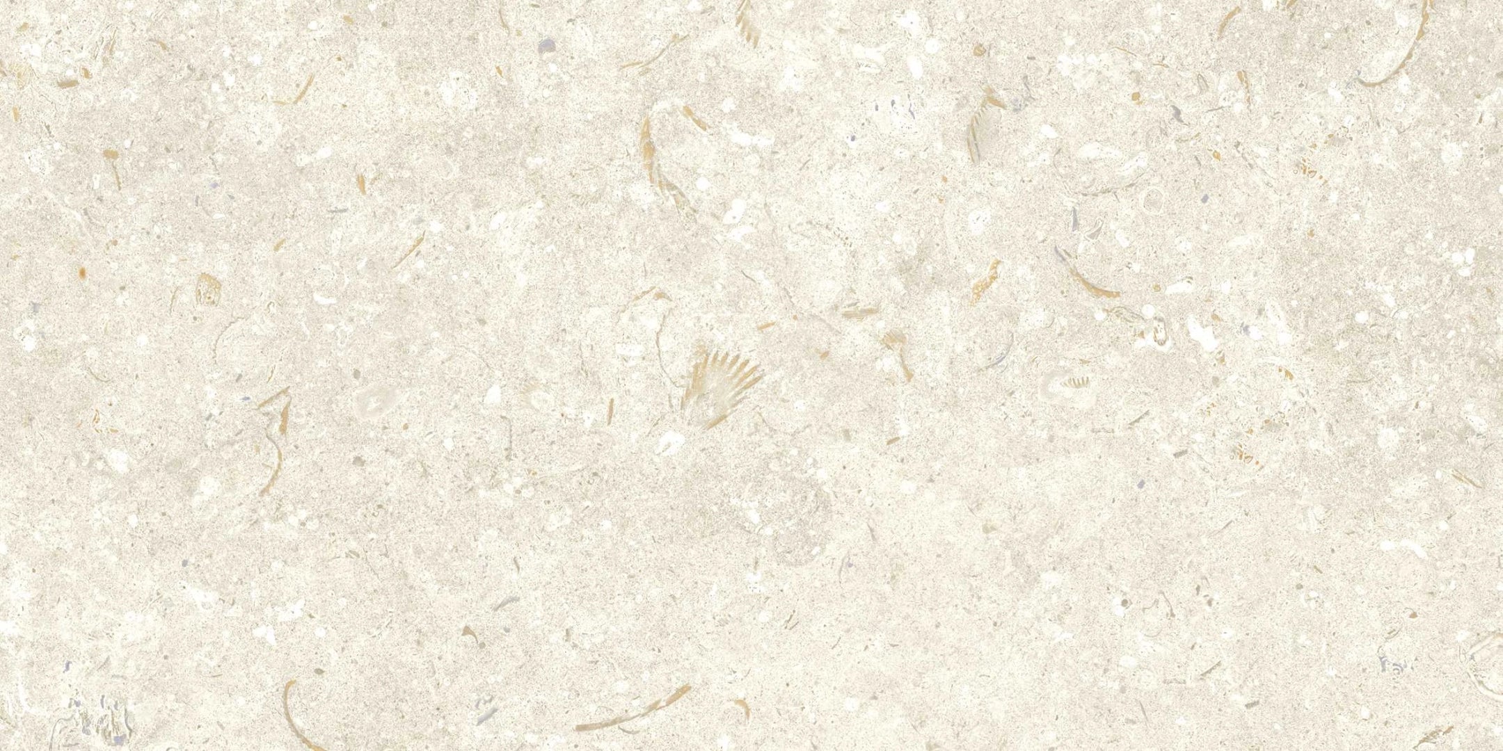 Grespania, Fosil - 46F232R - Bone, Matt, 30x60cm, 10.00mm, Rett.
