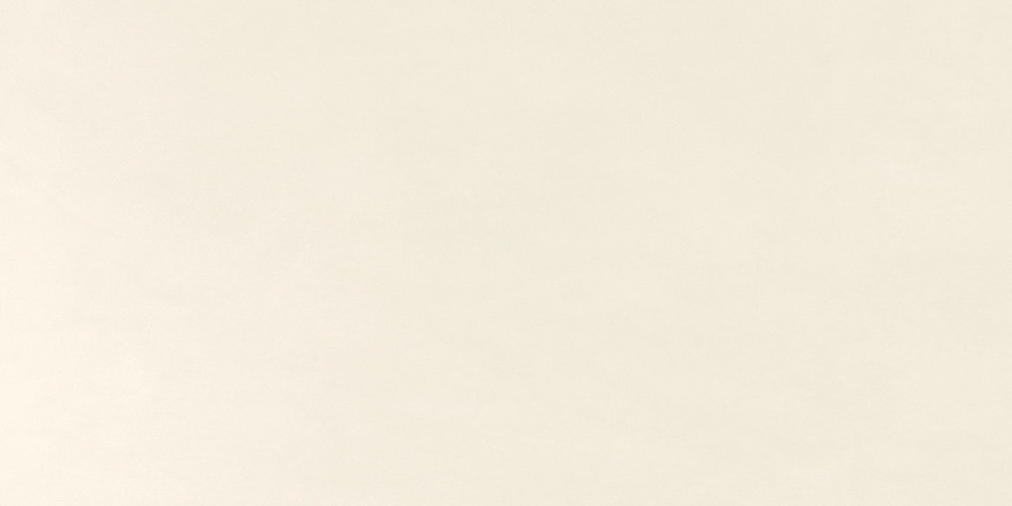 Panaria Ceramica, Experience - PG9EX05 - Bianco Denso, Naturale, 50x100cm, 3.50mm, Rett.