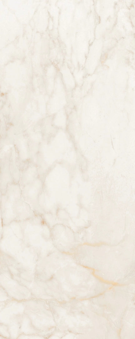 Margres, Endless - Breccia Capraia, Polished, 100x250cm, 5.50mm, Rett.