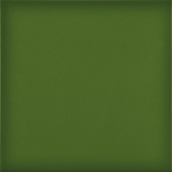 La Fenice Ceramiche, Cromie - Verde, Glossy, 20x20cm, 10.00mm
