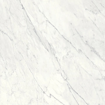 Dado Ceramica, Marmi Pregiati - 303031 - Supreme Statuario, Lappato, 59x59cm, 9.50mm, Rett.