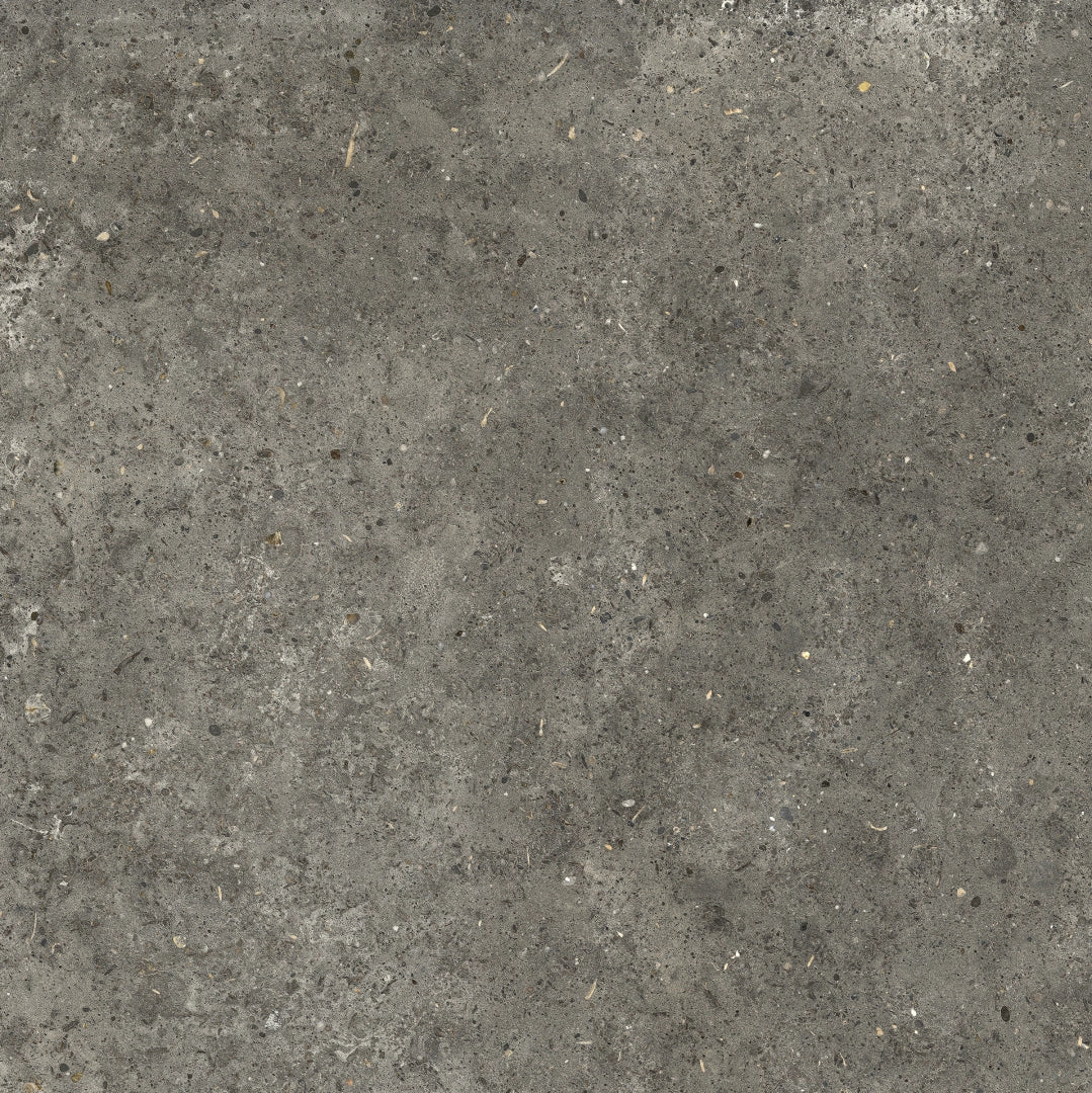 La Fabbrica Ava, Agglomerate - 160034 - Tahiti, Naturale, 80x80cm, 8.80mm, Rett.