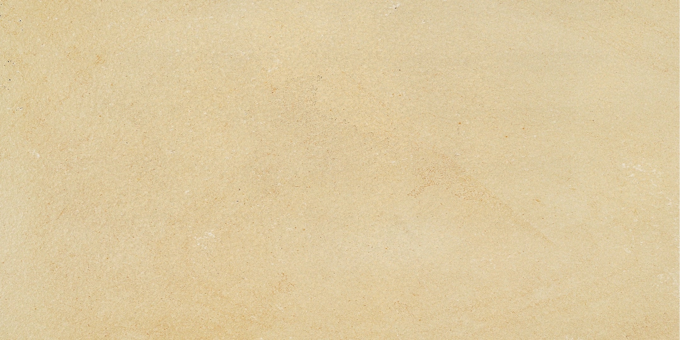 Ceramiche Coem, Fossilia - FO369 - Dorato, Naturale, 30.5x61.4cm, 9.00mm