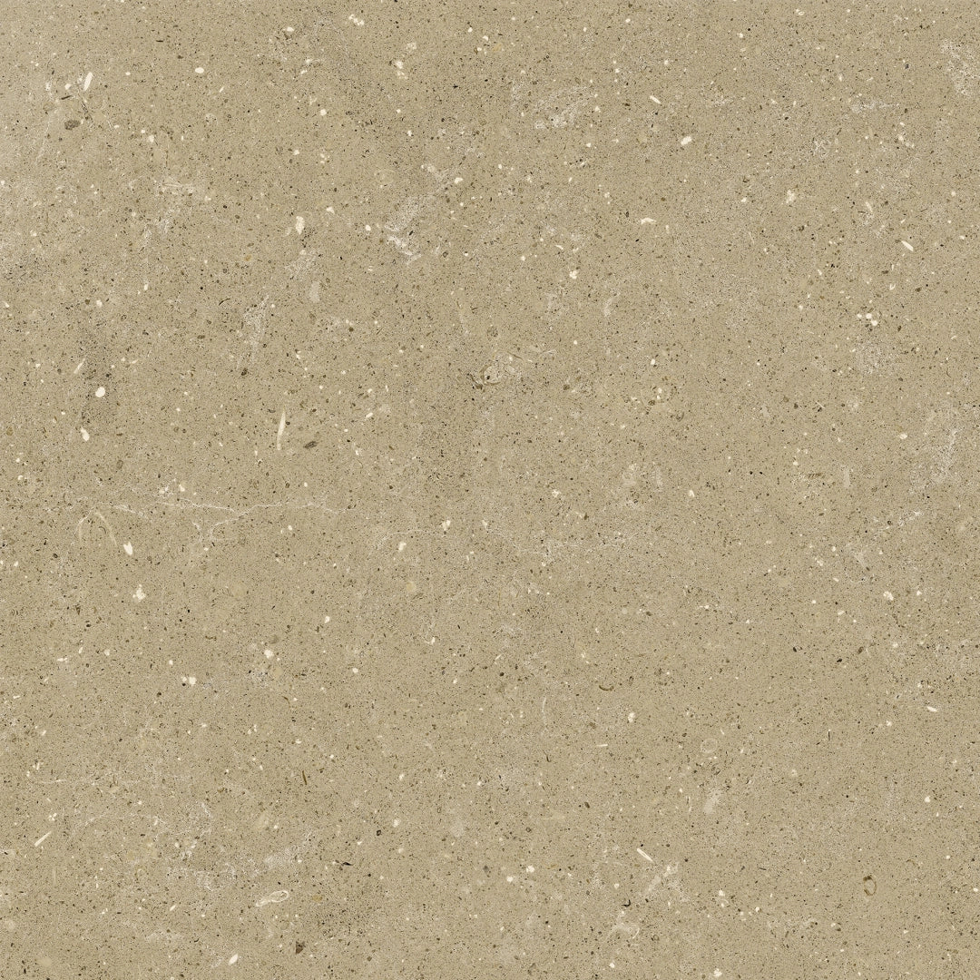 Del Conca, Wild - G9WD01R - Beige, Nat, 60x60cm, 8.50mm, Rett.